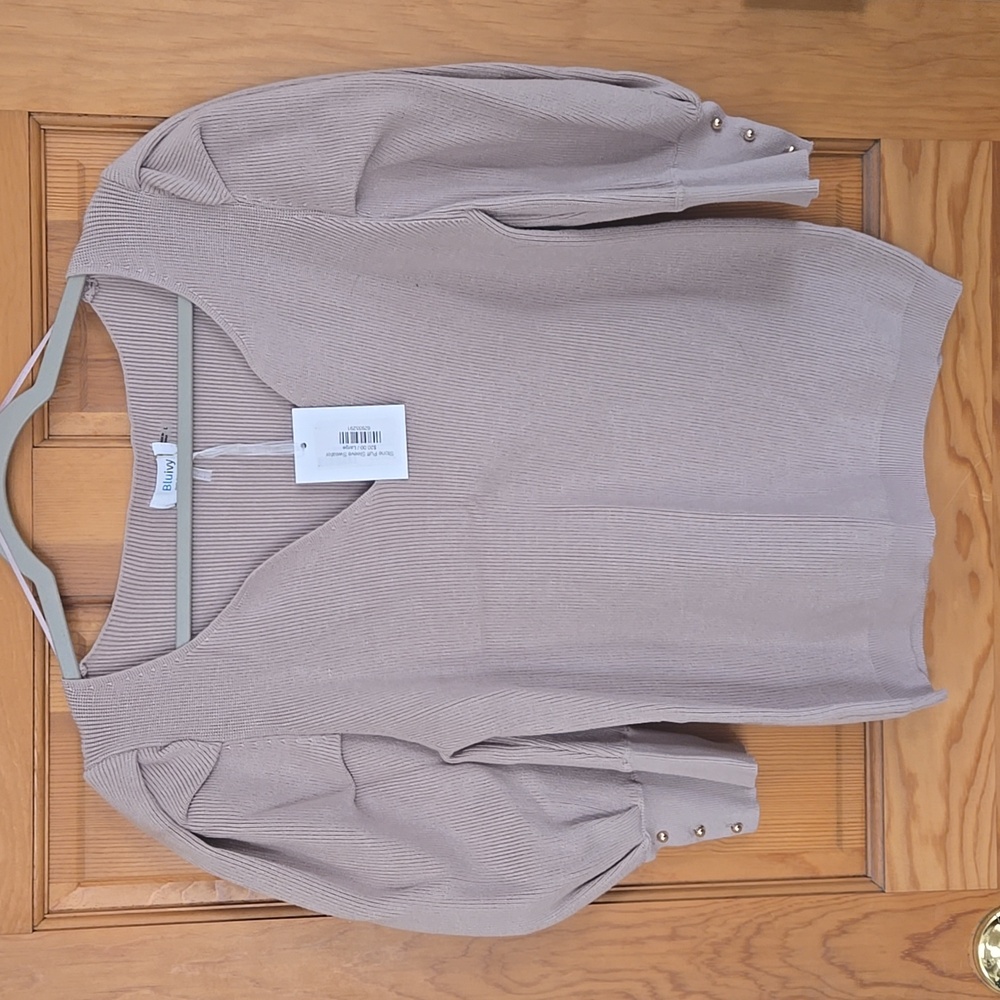 Puffy Sleeve Spring Top NWT
